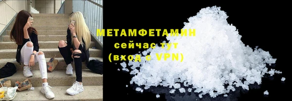 ГАЛЛЮЦИНОГЕННЫЕ ГРИБЫ Тайга