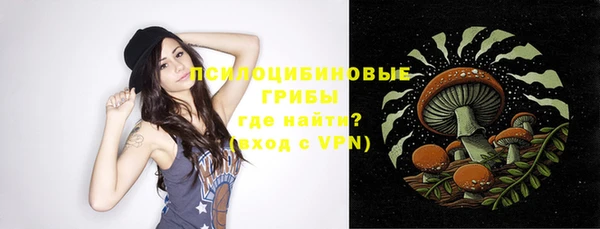 ГАЛЛЮЦИНОГЕННЫЕ ГРИБЫ Тайга