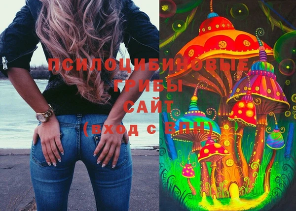 PSILOCYBIN Тавда