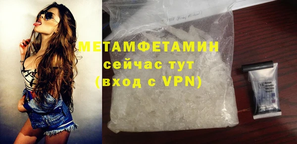 ГАЛЛЮЦИНОГЕННЫЕ ГРИБЫ Тайга