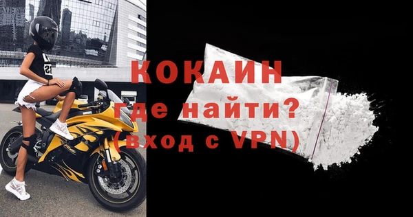 ГАЛЛЮЦИНОГЕННЫЕ ГРИБЫ Тайга